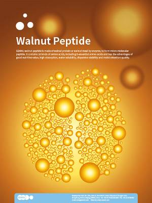 Walnut Peptide