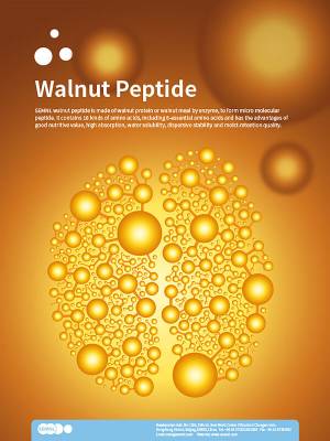 Walnut Peptides You Don't Know