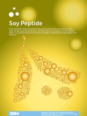 The Efficacy and Value of Soybean Peptides
