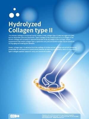 Hydrolyzed Collagen