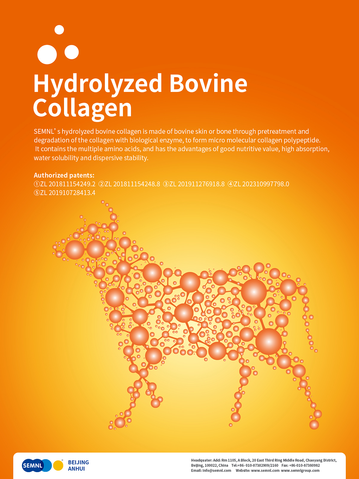 Why Are Functional Beverage Brands Using Hydrolyzed Bovine Collagen