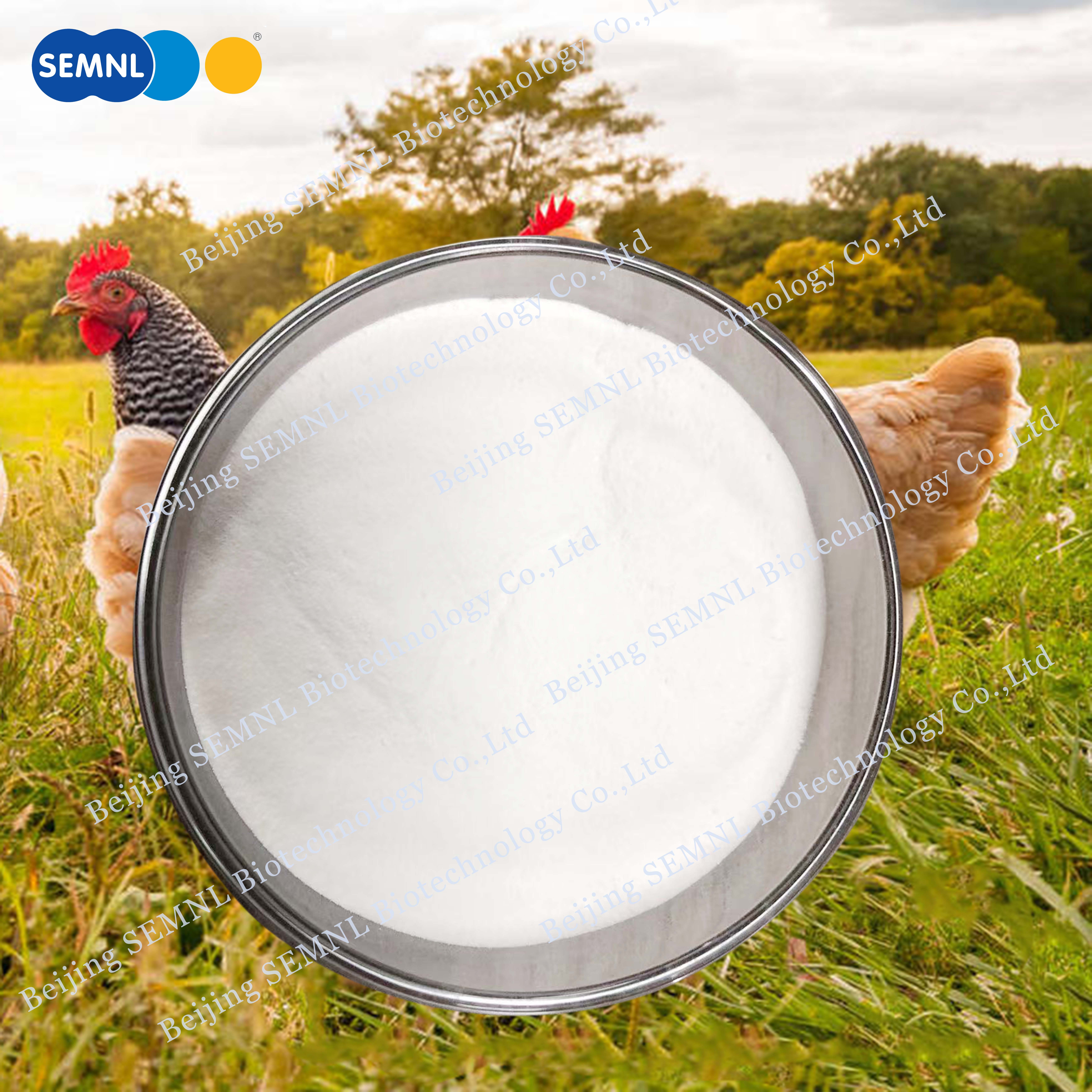 Why Leading Supplement Brands Are Turning to Undenatured Collagen Type II for Next-Gen Joint Care Formulas Why Leading Supplement Brands Are Turning to Undenatured Collagen Type II for Next-Gen Joint Care Formulas