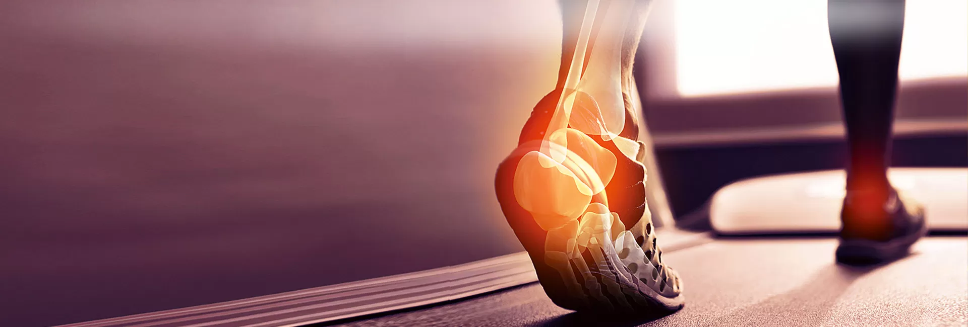 Cooperated with Institute of Process<br> Engineering Chinese Academy of Science