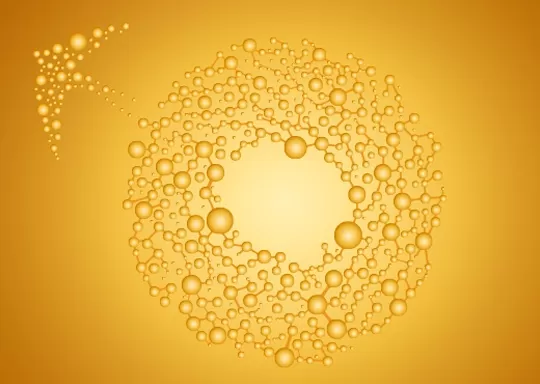 Edible Bird' s Nest Extract