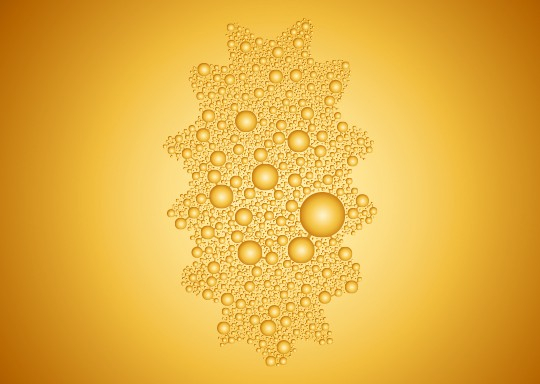 Sea Cucumber Extract