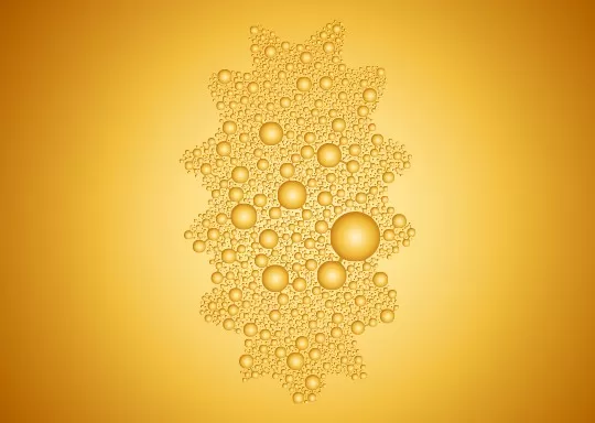 Sea Cucumber Extract