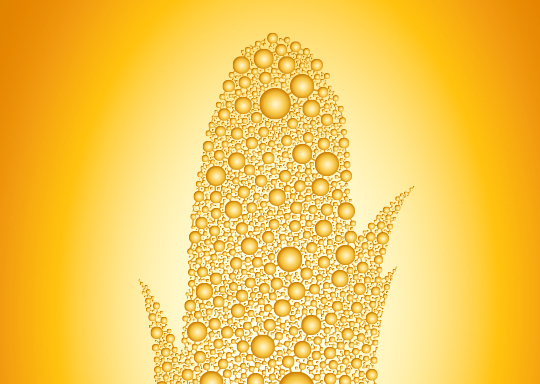 Corn Peptide