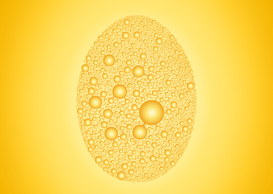 Eggshell Membrane Extract