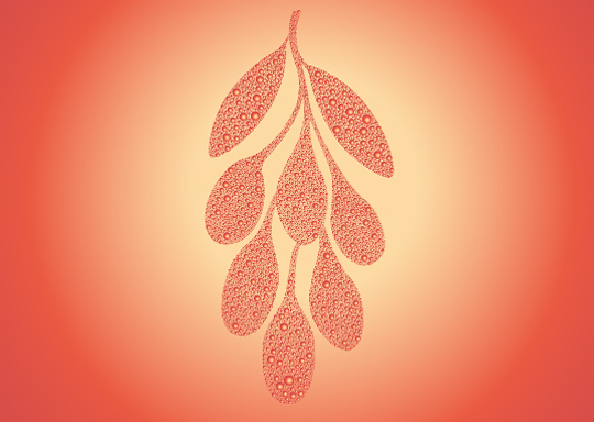 Goji Extract