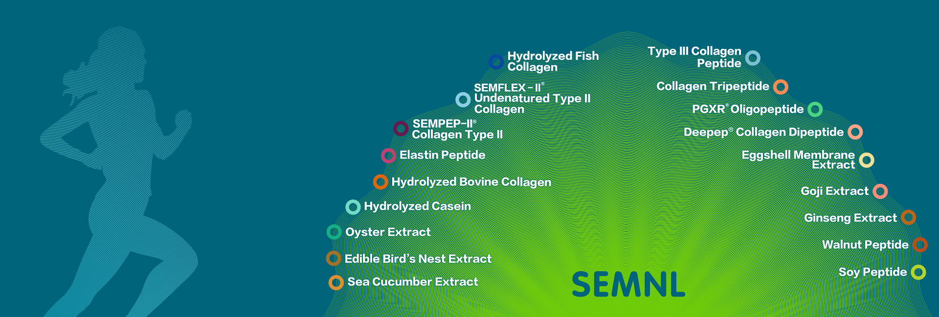 Global professional <br/> service provider<br/> of bioactive peptide