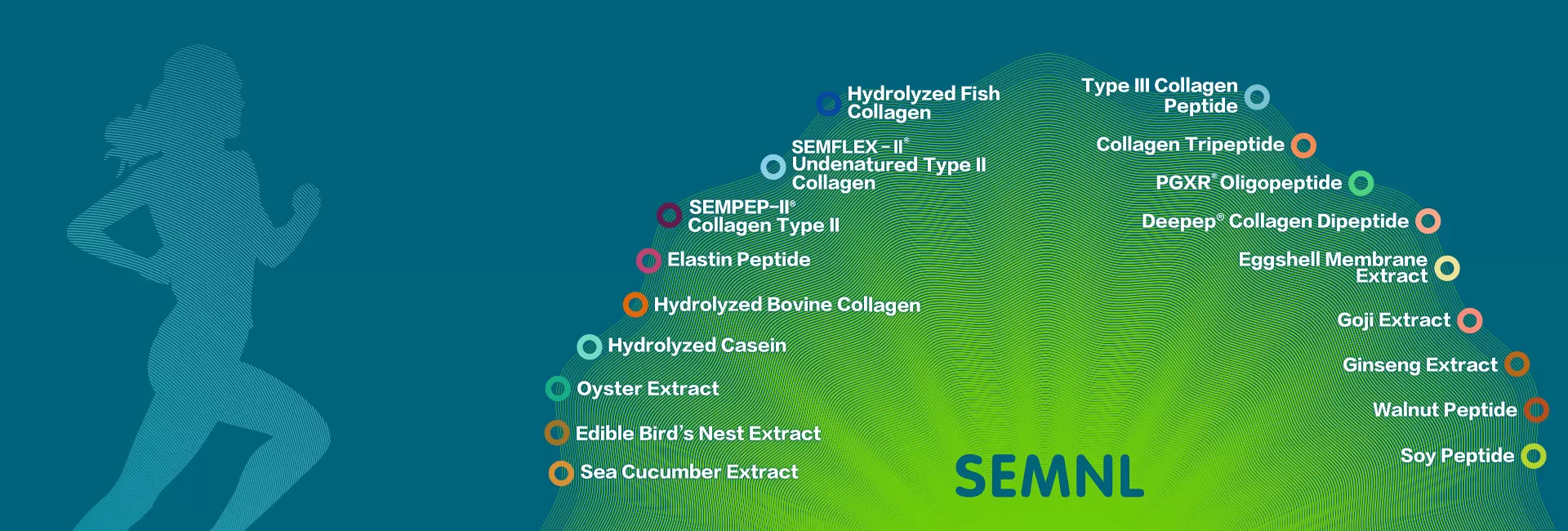Global professional <br/> service provider<br/> of bioactive peptide