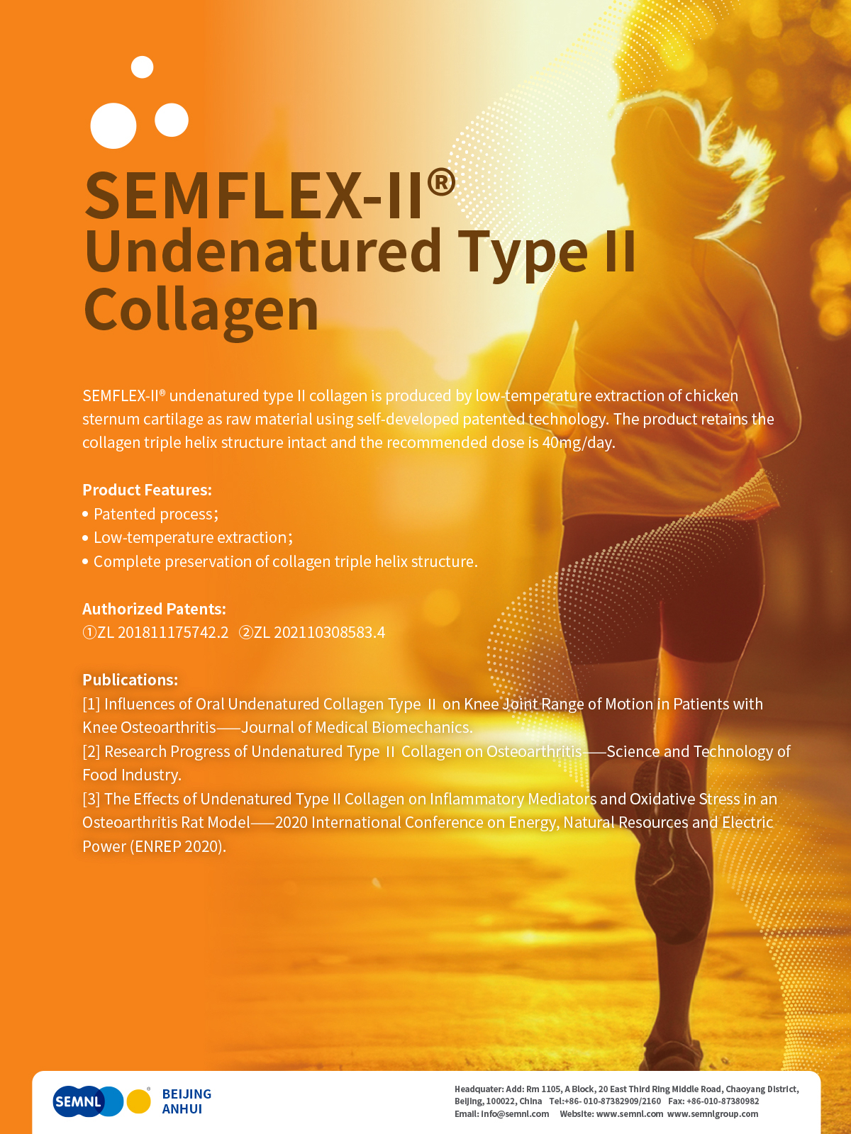 SEMFLEX－II<sup>®</sup></span>