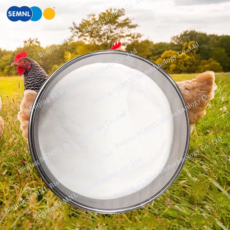 Why Leading Supplement Brands Are Turning to Undenatured Collagen Type II for Next-Gen Joint Care Formulas