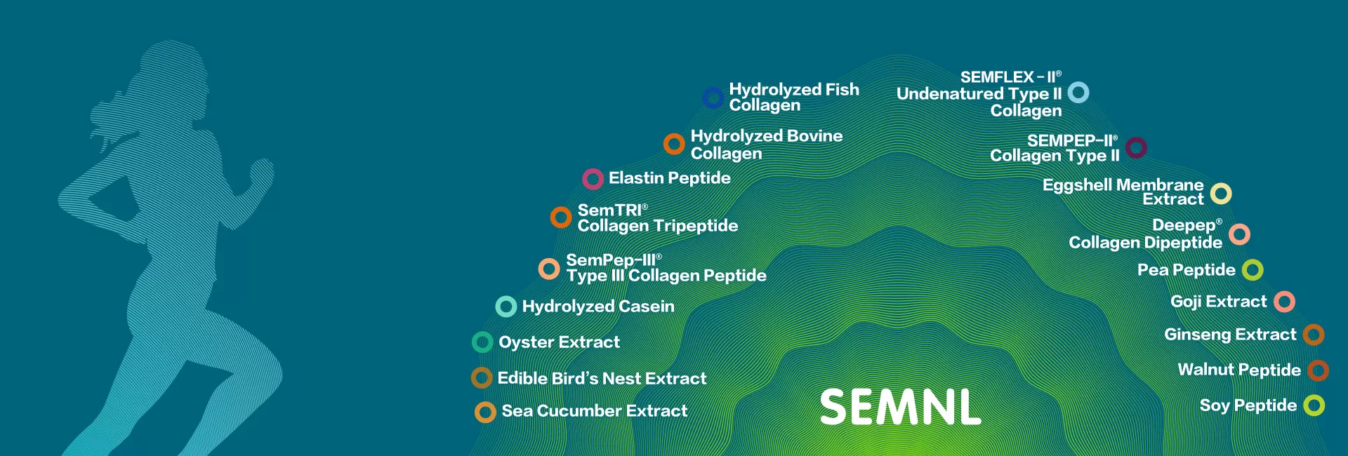 Global professional <br/> service provider<br/> of bioactive peptide